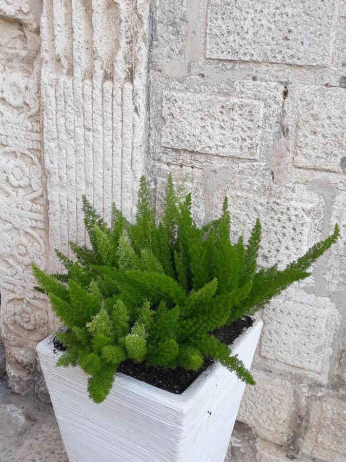 Le Bifore B&B Molfetta Kültér fotó